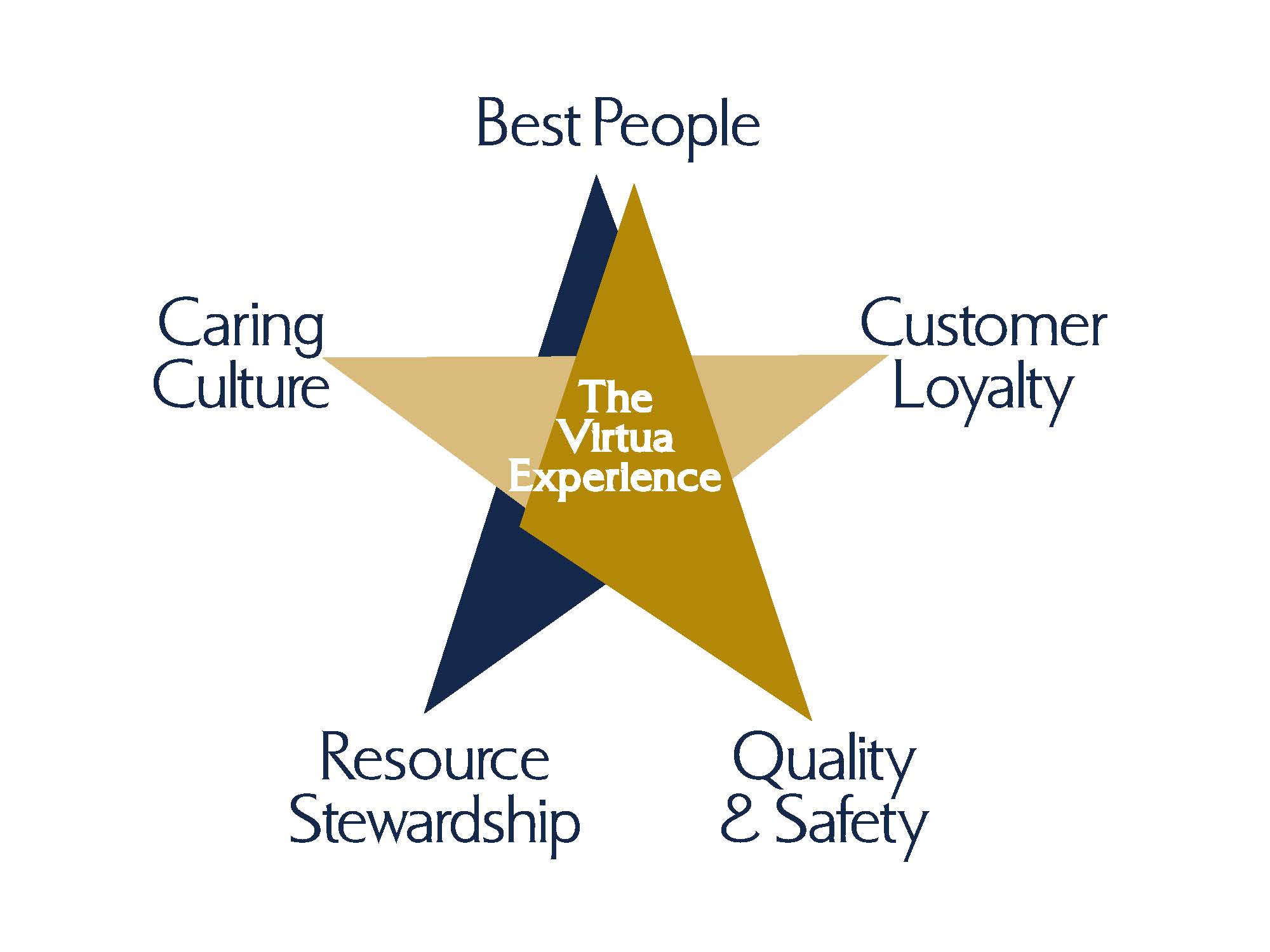 Virtua Star