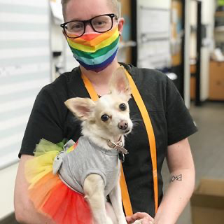 A veterinarian in a rainbow COVID safety mask holding a small, cute dog. The dog is wearing a rainbow tutu.