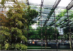 VMware