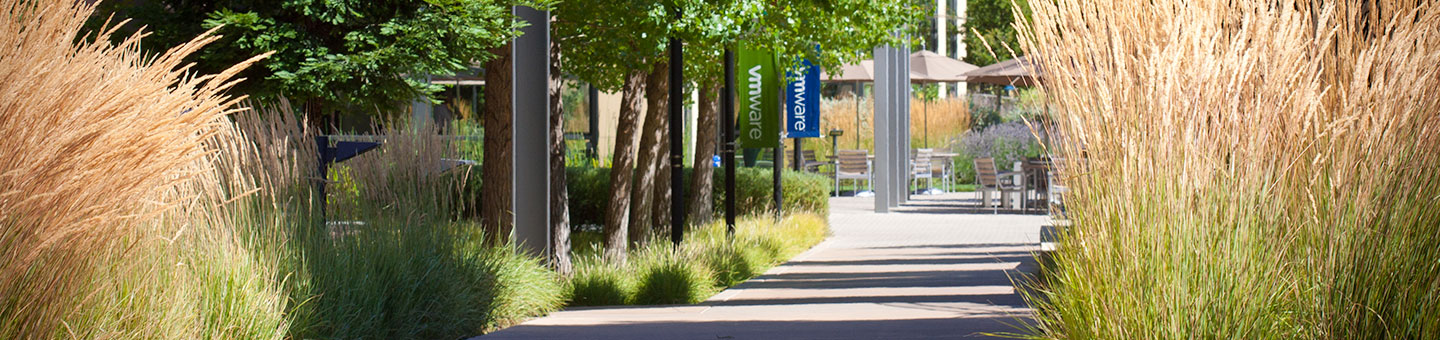 Walking path at VMware