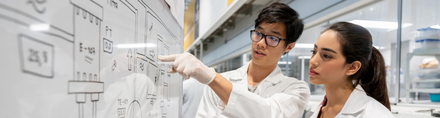 Two scientists looking at a flow chart