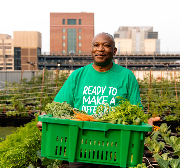 older black male employee carrying a basket of vegetables in an urban rooftop garden