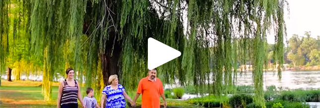 A still from a video showing a family walking past a weeping willow tree