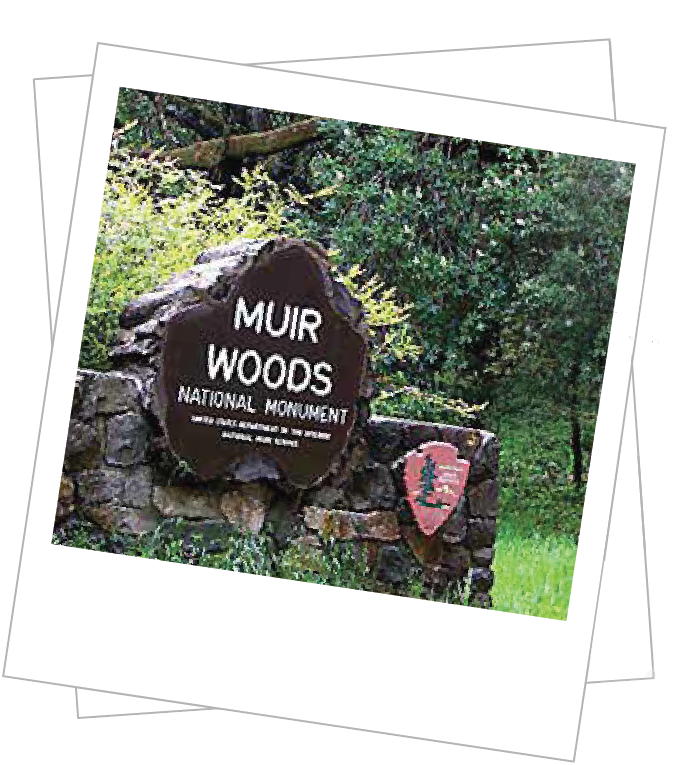Muir Woods National Monument Sign