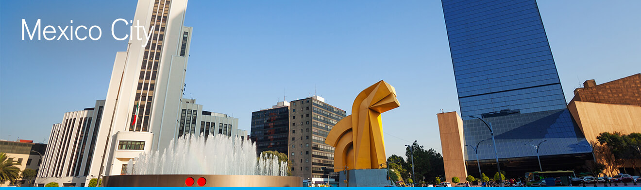 Mexico City Skyline