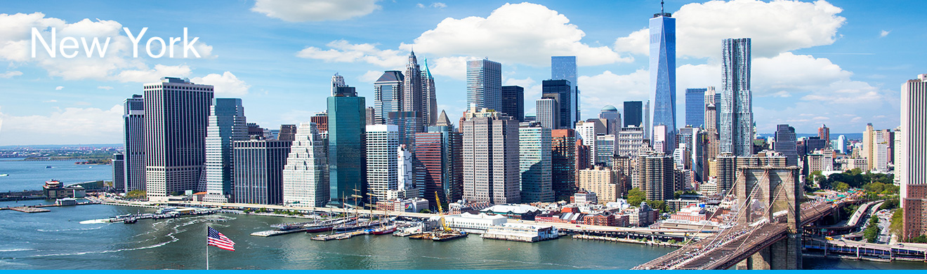 New York Skyline