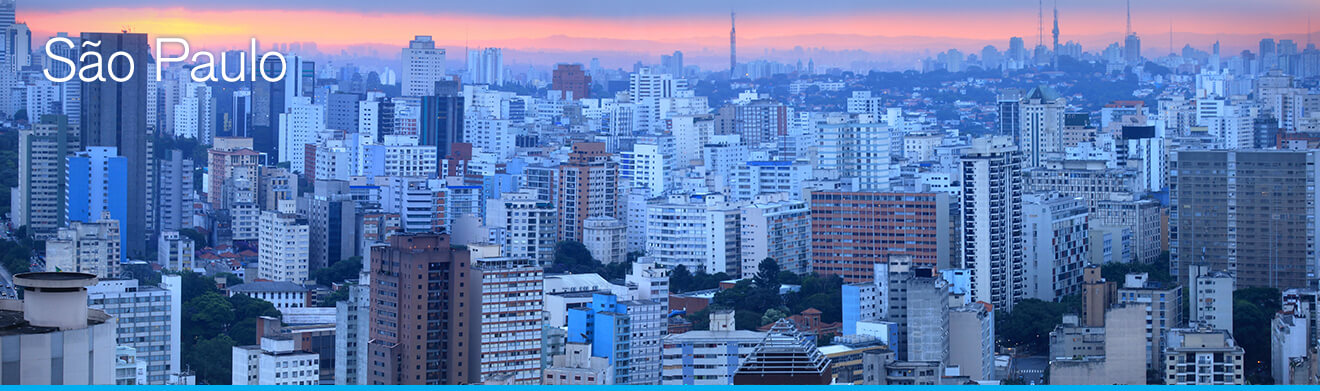 Sao Paulo Skyline