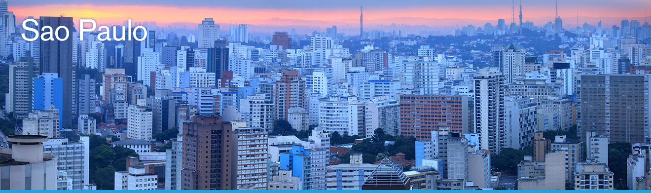 Sao Paulo Skyline