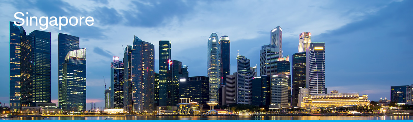 Singapore Skyline