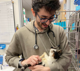 Vet holding cat in clinic setting.