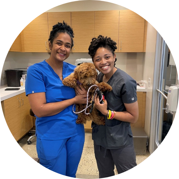 Vetco vaccination clinic veterinarians standing while one vet holds a dog