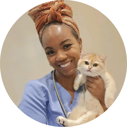 Vet holding a cat
