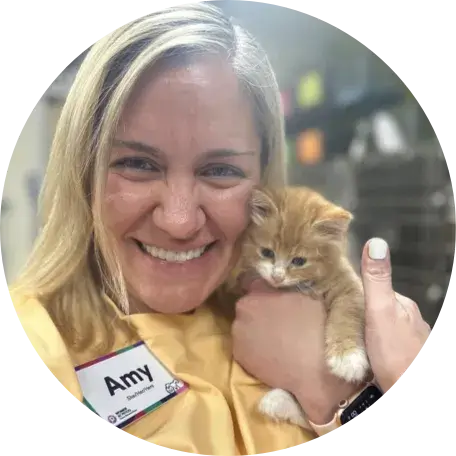 Woman holding a kitten
