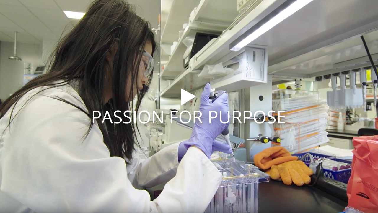 Passion for Purpose video, click enter to play video