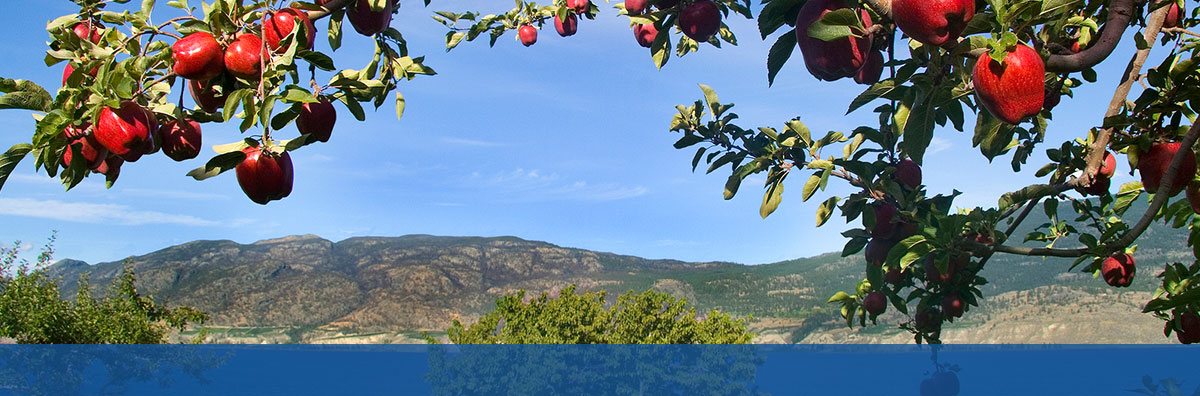 apple tree with mountains in background