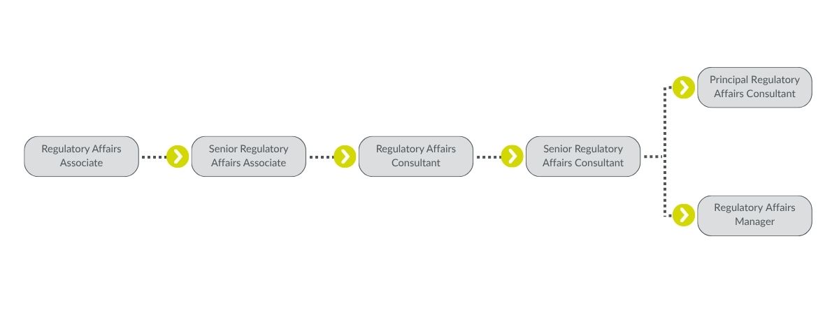 Image of the career path for a Regulatory Affairs professional