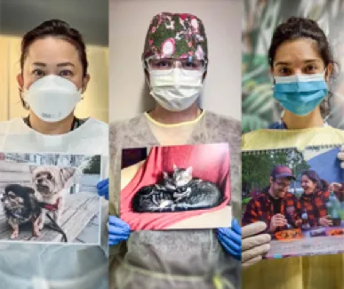 Masked Nurses Posing holding photographs