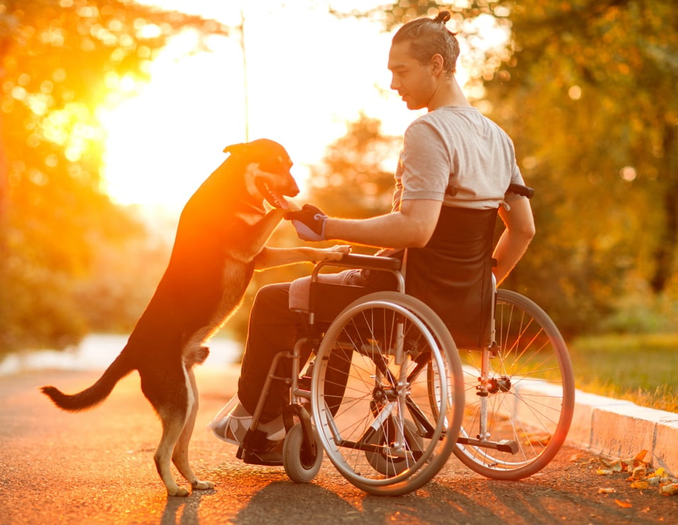 Person in wheelchair with a dog