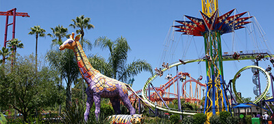 Six Flags Discovery Kingdom Vallejo Ca Six Flags Discovery Kingdom Vallejo Ca