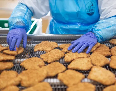 A person wearing blue protective clothing and purple gloves arranging breaded food items on a tray.