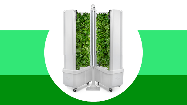 Hydroponic farming device