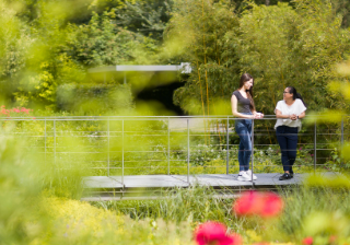 Takeda employees chatting in an outdoor space