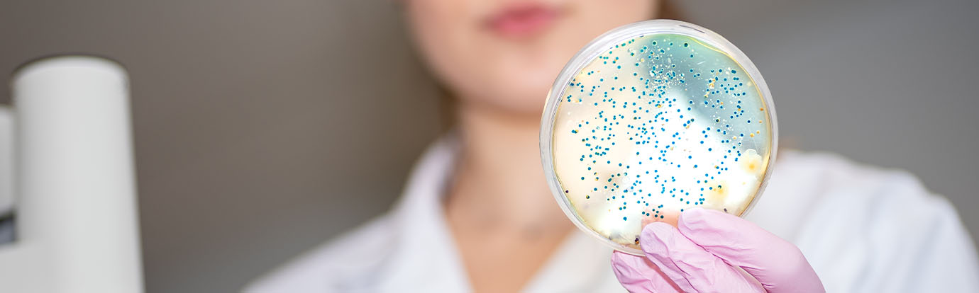 Close up of petri dish, held by laboratory worker