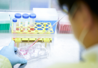 Two people looking at a computer monitor together. Another picture of a person taking lab samples