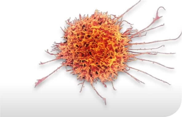 Watch Video: Cell therapy harnessing the immune system