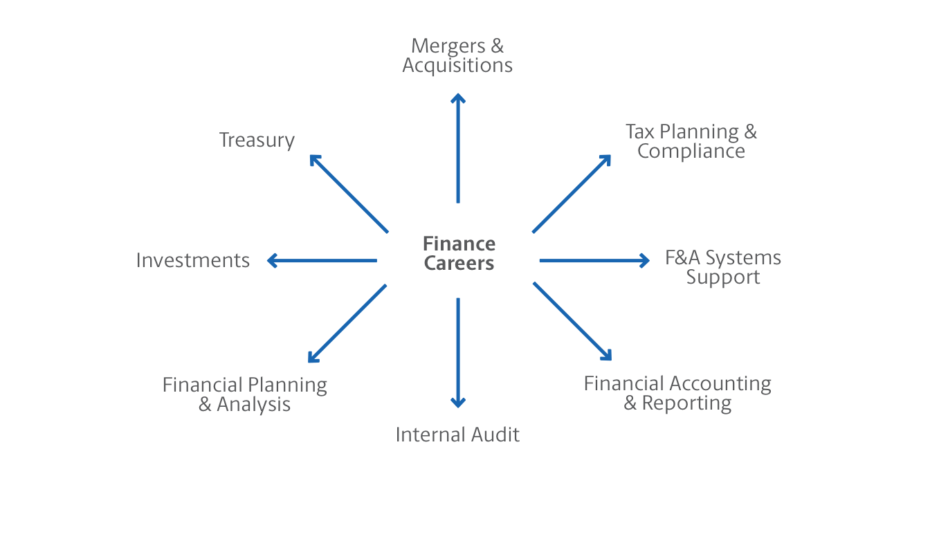 Finance Career Path