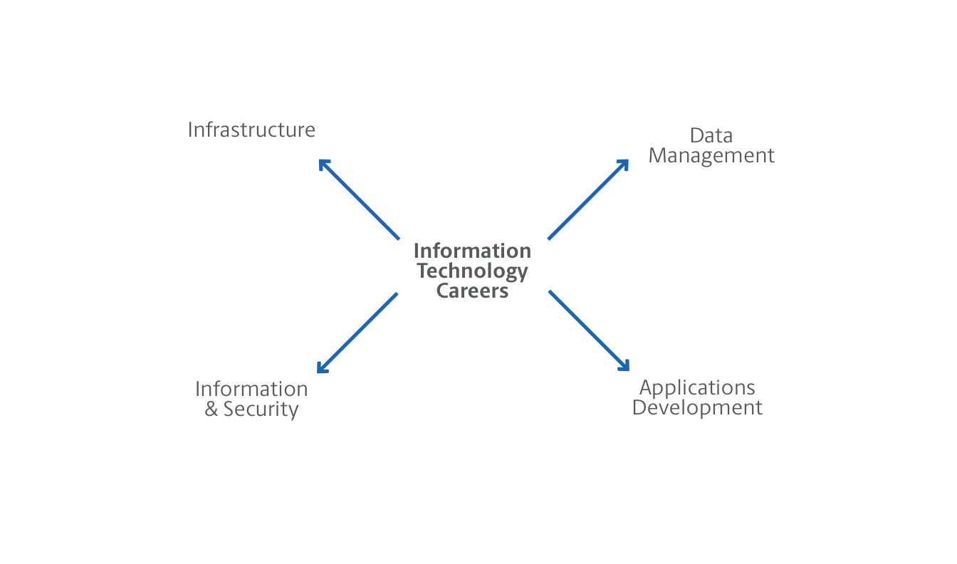 IT Career Path