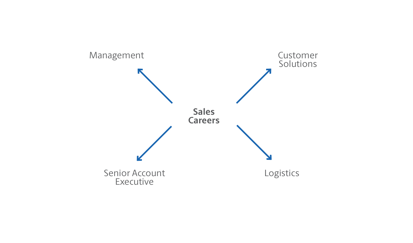 Sales Career Path