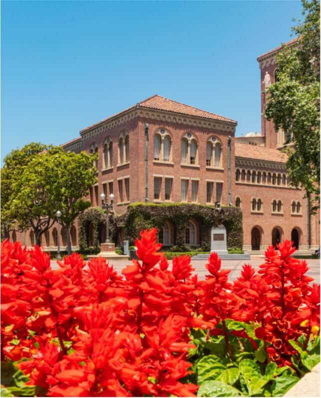 Red flowers in the foreground with a campus fountain and historic USC building in the background.