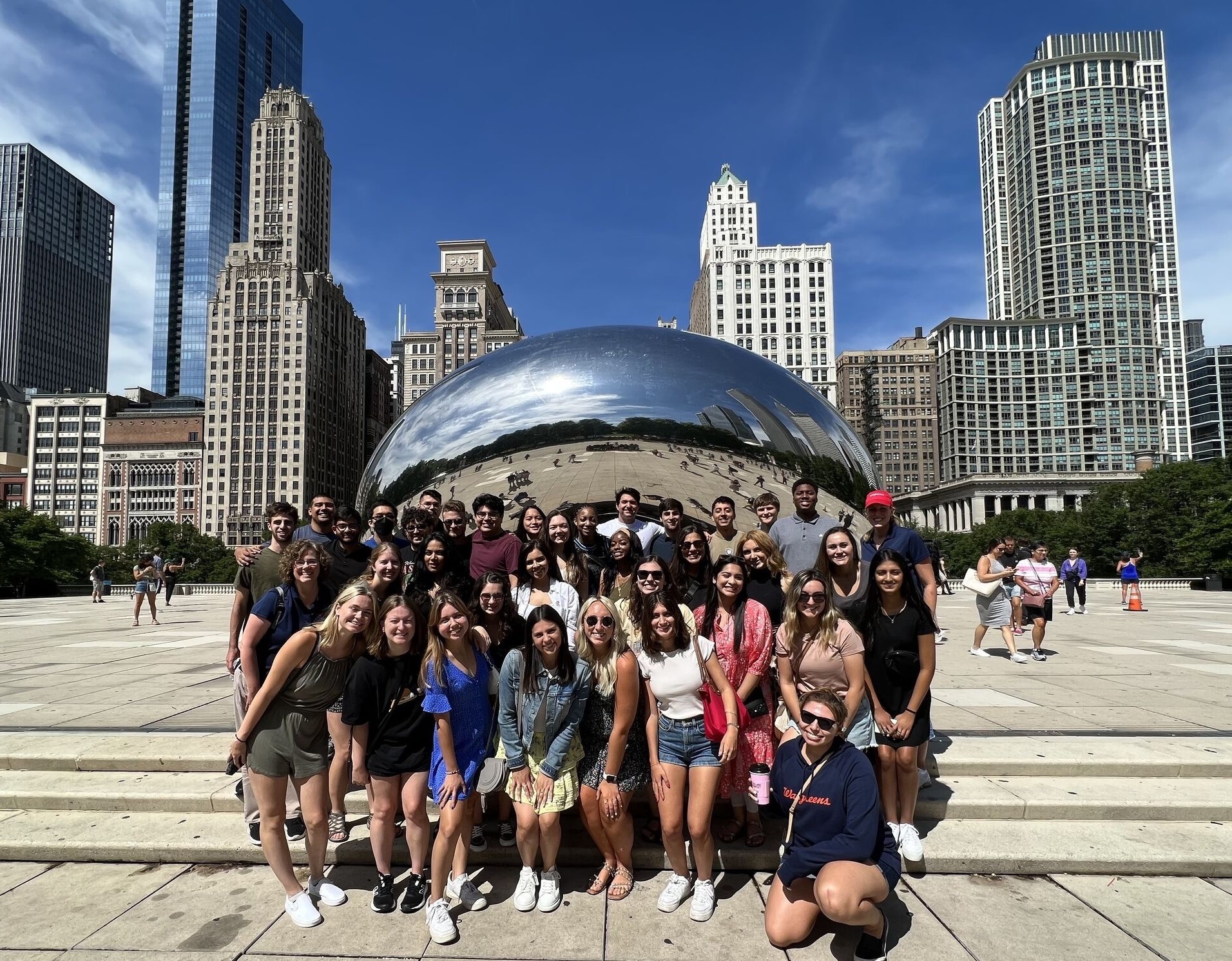 Former interns - where are they now