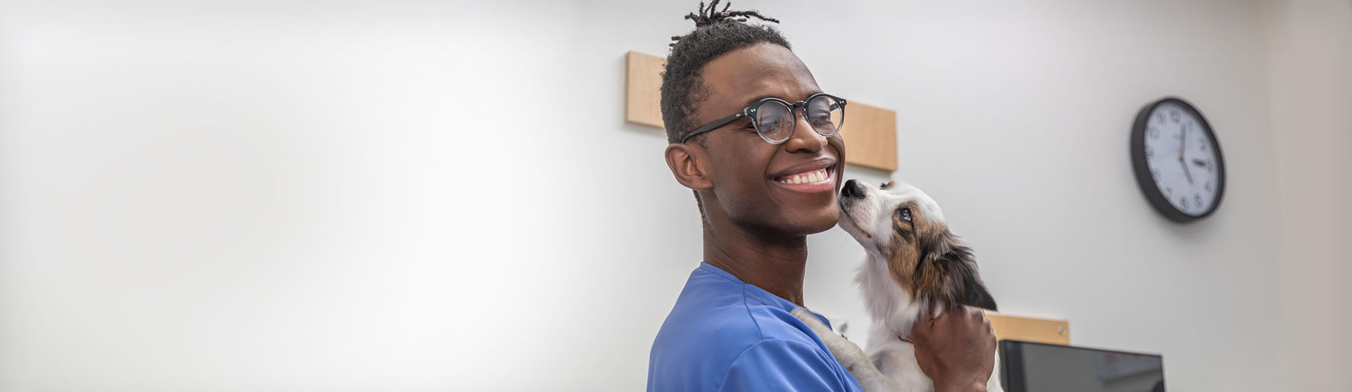 Dog and veterinarian