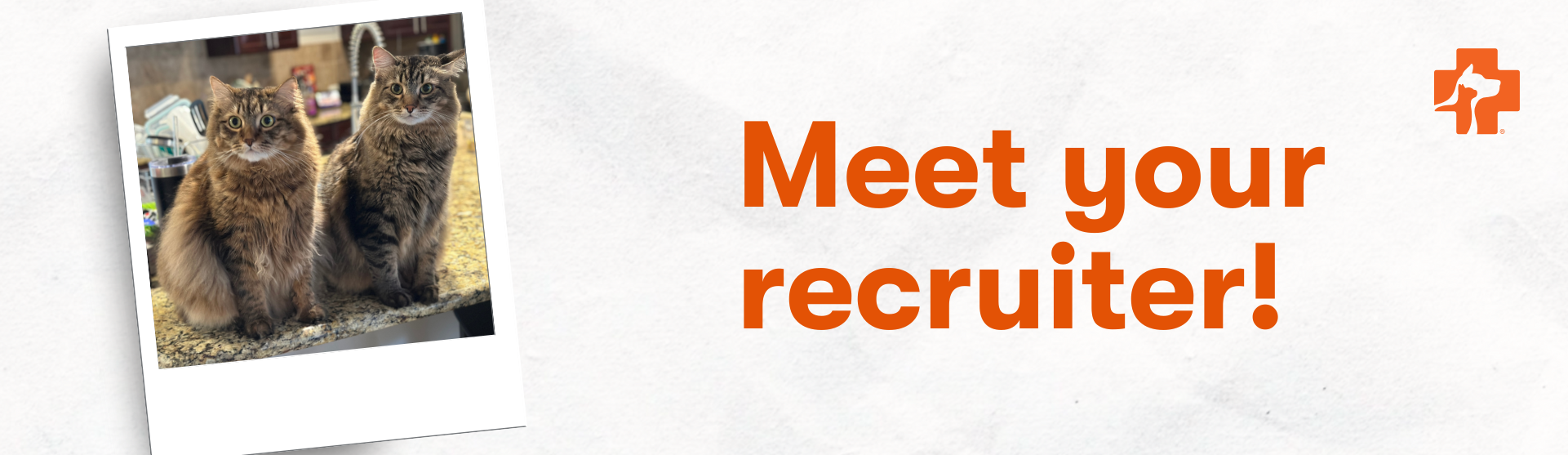 Banfield Pet Hospital Recruiter