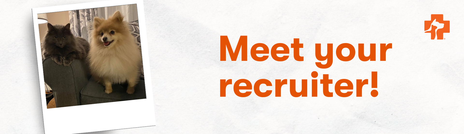 Banfield Pet Hospital Recruiter