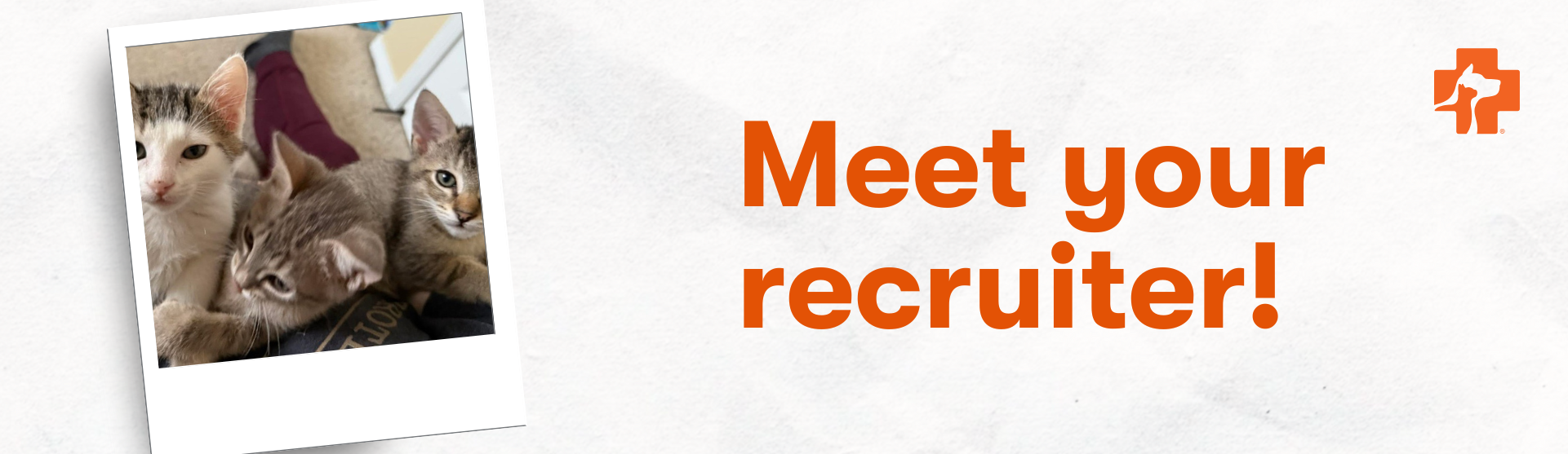 Banfield Pet Hospital Recruiter