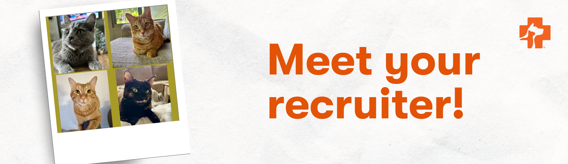 Banfield Pet Hospital Recruiter