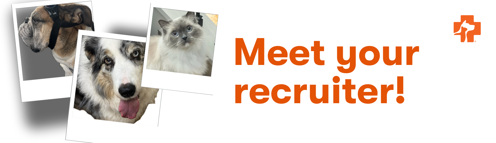 Banfield Pet Hospital Recruiter