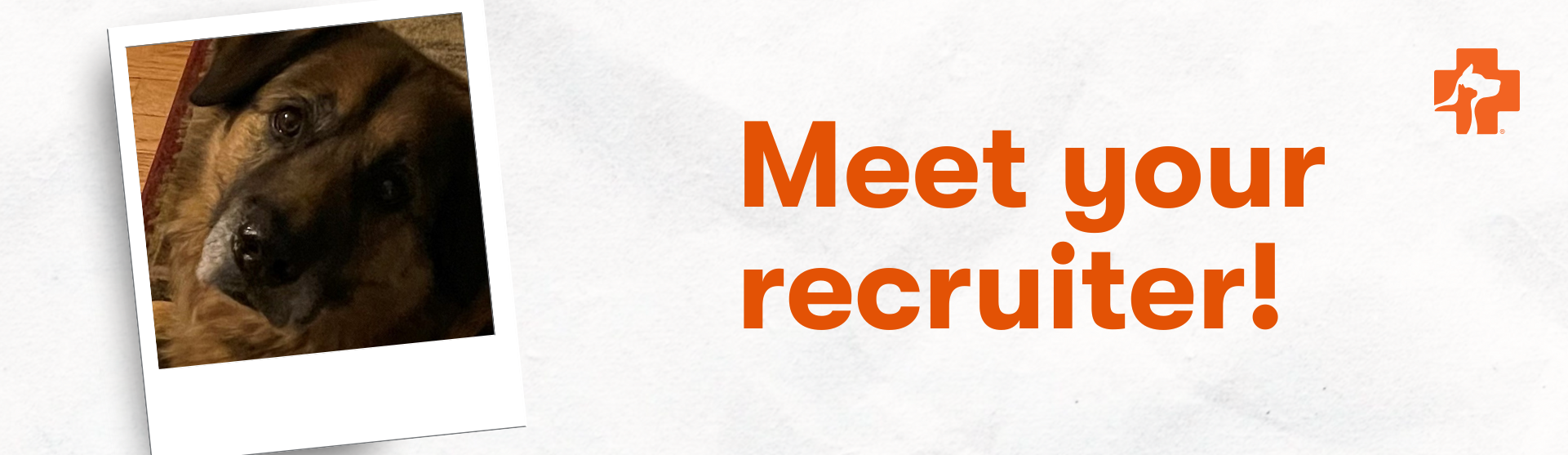 Banfield Pet Hospital Recruiter