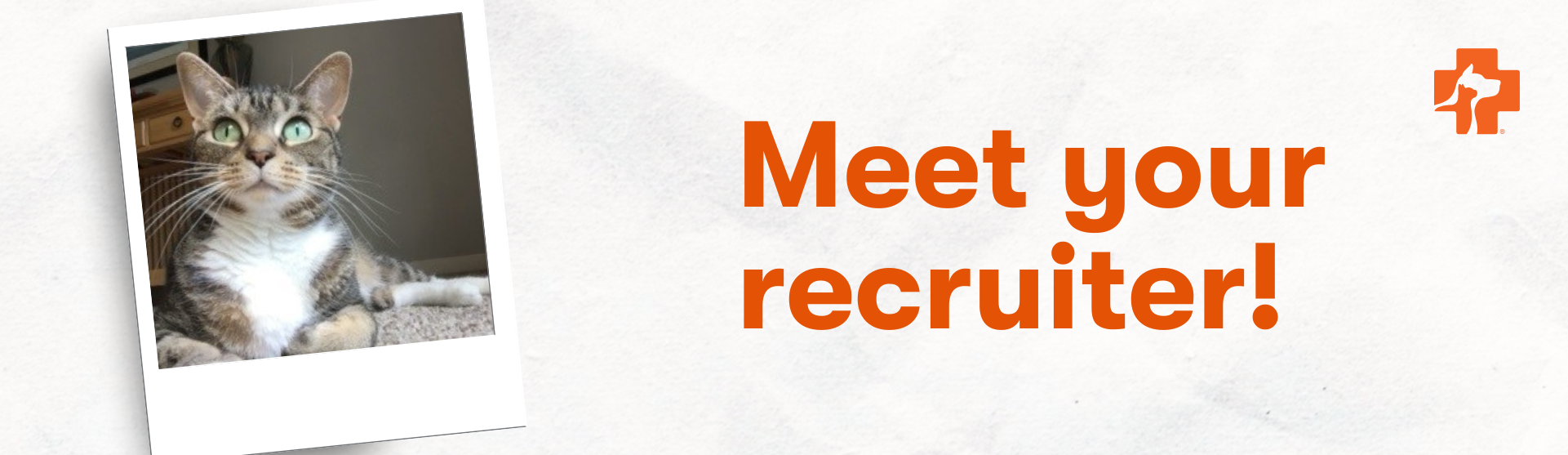 Banfield Pet Hospital Recruiter