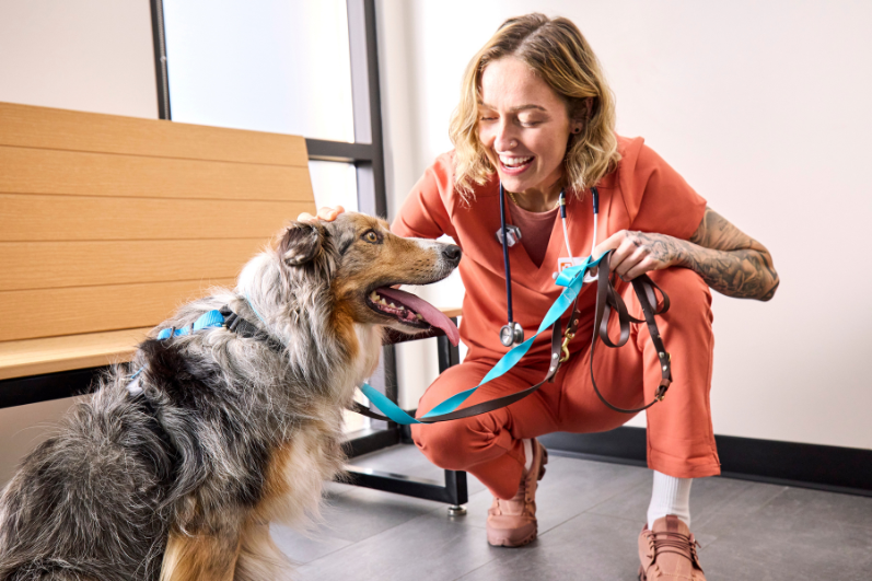 veterinary technician and dog