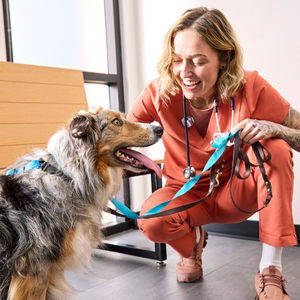 veterinary technician and dog