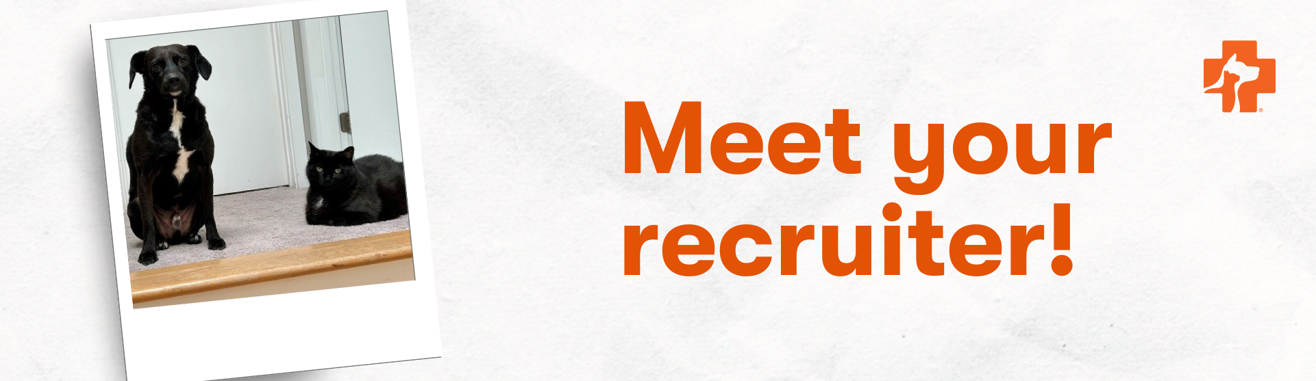 Banfield Pet Hospital Recruiter