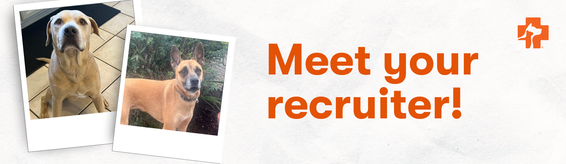 Banfield Pet Hospital Recruiter