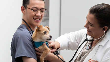 Banner: Two doctor with a dog representing Veterinary technician careers