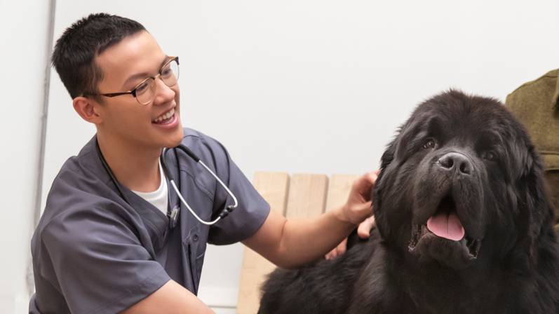 Overview Image: A doctor with a black dog