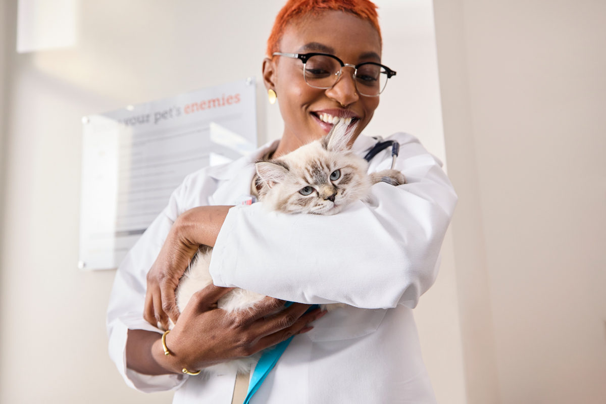 Overview Image: A doctor with a black dog