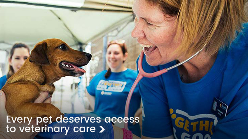Every pet deserves access to veterinary care